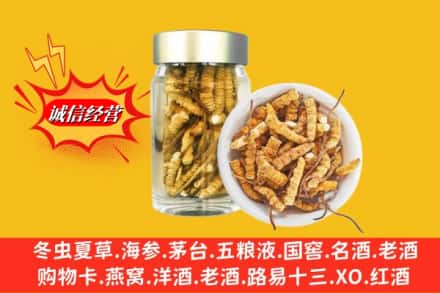 新乡卫滨区回收散虫草